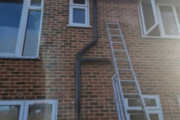 WhatsApp Image 2026-01-31 at 16.49.15 (1)