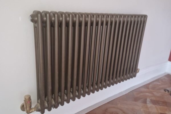 WhatsApp Image 2026-01-31 at 16.49.20