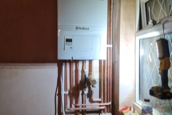 WhatsApp Image 2026-01-31 at 16.49.34