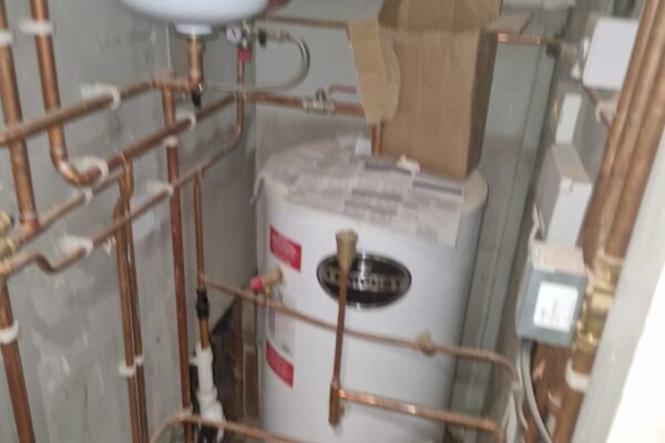 WhatsApp Image 2026-01-31 at 16.49.40