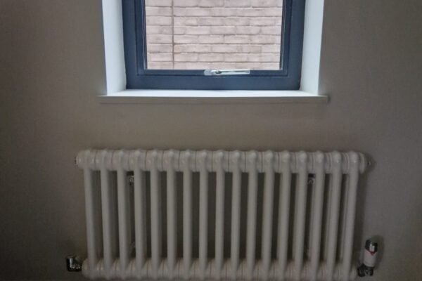 WhatsApp Image 2026-01-31 at 17.34.50