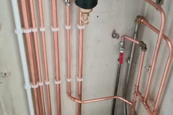 WhatsApp Image 2026-01-31 at 17.34.54 (2)