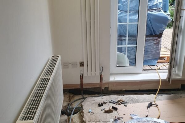 WhatsApp Image 2026-01-31 at 17.34.55