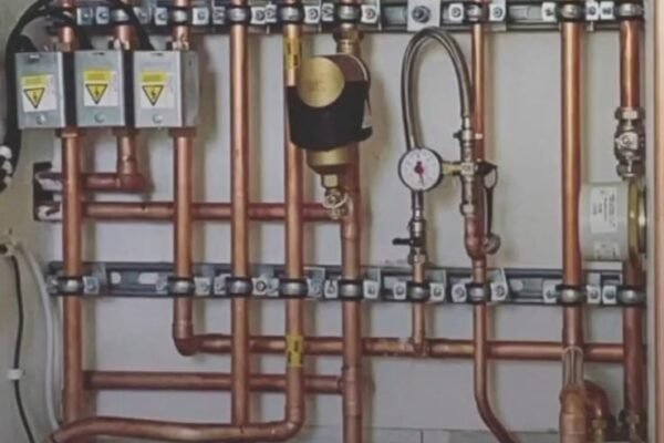 WhatsApp Image 2026-01-31 at 17.34.56