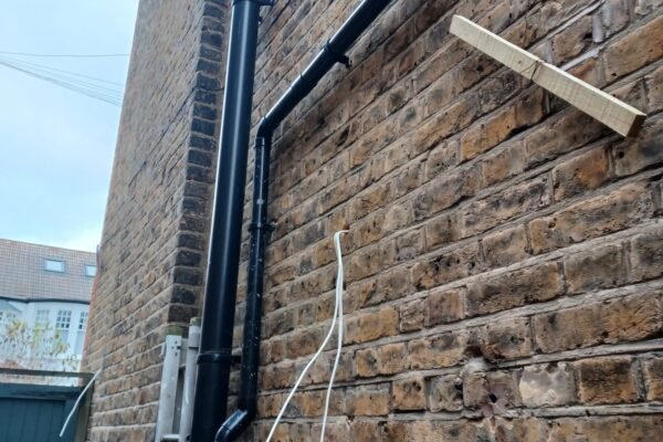 WhatsApp Image 2026-01-31 at 17.34.57