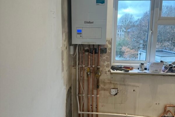 WhatsApp Image 2026-02-04 at 21.01.26