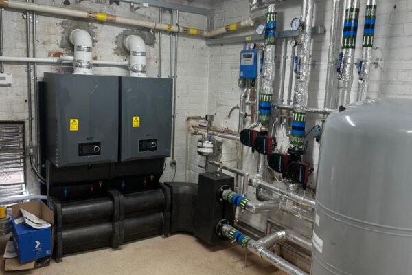 WhatsApp Image 2026-02-04 at 21.01.27 (4)