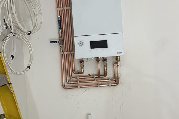 WhatsApp Image 2026-02-05 at 22.14.18