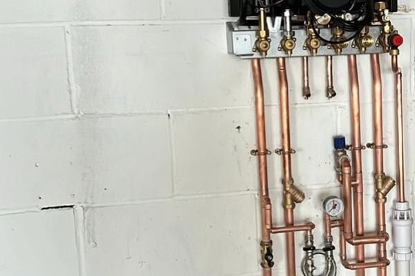 WhatsApp Image 2026-02-05 at 22.14.19